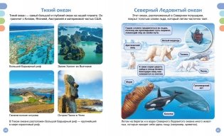 Море и его обитатели фото книги 7