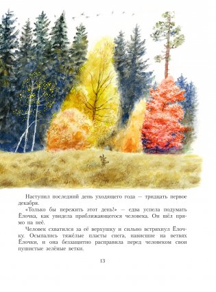 Сказочная новогодняя книга фото книги 14