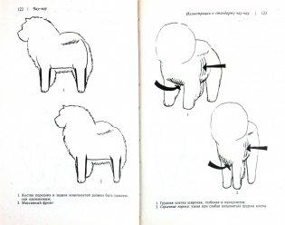 Чау-чау фото книги 2