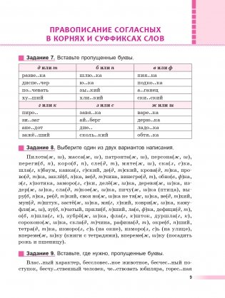 Русский язык: тренажер по орфографии. 8—11 классы фото книги 9