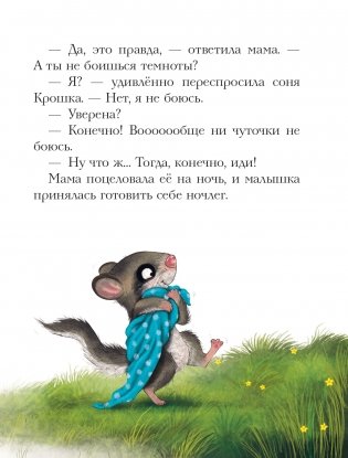 История маленькой сони, которая совсем не боялась темноты фото книги 3