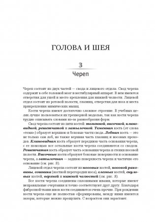 Анатомия тела в движении фото книги 5