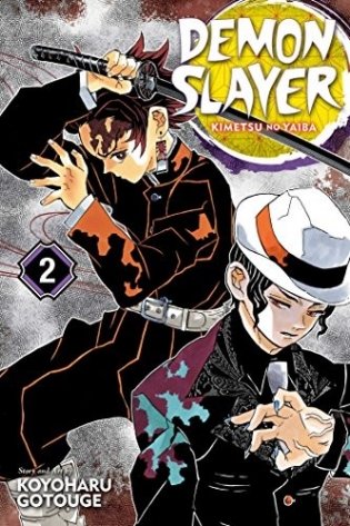 Demon Slayer. Kimetsu no Yaiba. Volume 2 фото книги