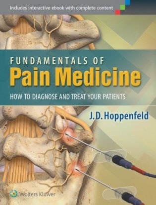 Fundamentals of Pain Medicine: How to Diagnose and Treat your Patients фото книги