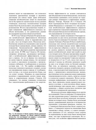 Локомоция человека. Протокол обследования, оценка, лечение и профилактика травм, связанных с циклом походки фото книги 13