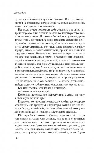 Новые Дебри фото книги 15