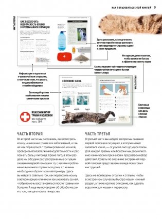 Первая помощь кошкам. Осмотр, действия в экстренных ситуациях, аптечка первой помощи, здоровье, корм фото книги 7