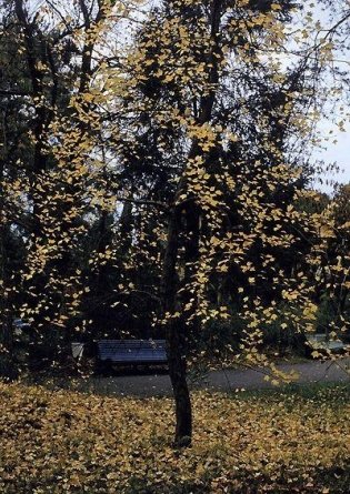 Дорога к дому (+ DVD) фото книги 5