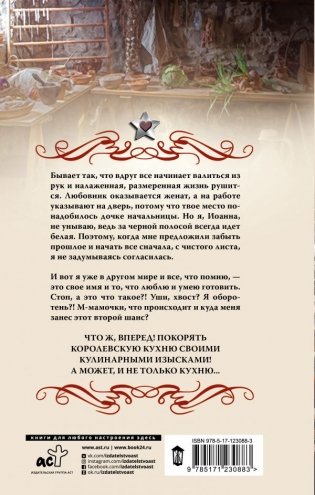 Госпожа повариха фото книги 2