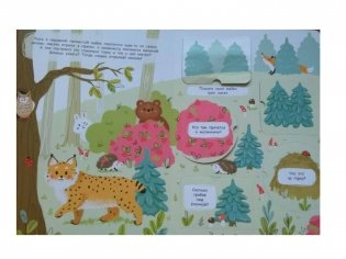 Книжка с окошками. В лесу фото книги 2