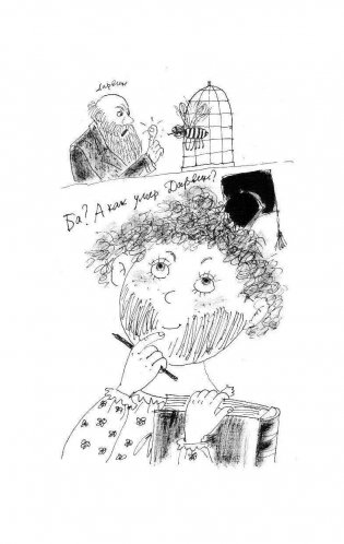 Манюня, юбилей Ба и прочие треволнения фото книги 8