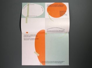 Странная оранжевая косточка фото книги 4