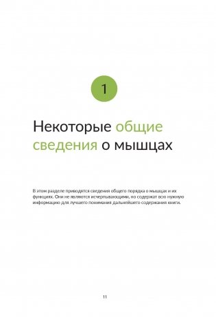 Анатомия йоги. Как работают мышцы фото книги 11