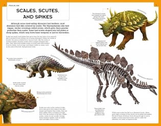 Dinosaurs: Book and Fact Cards фото книги 5