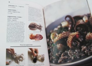 Гастрономическая энциклопедия. Том 4. Ивишень-Колбаса фото книги 5