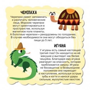 Мир животных для малышей в карточках фото книги 4