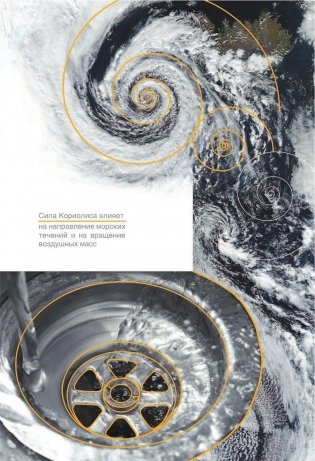 Научные теории за 60 секунд фото книги 10