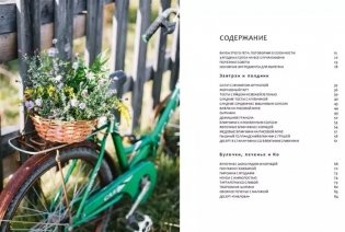 Время урожая. Ягодные пироги и кексы, простые заготовки и десерты с дарами природы фото книги 5