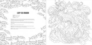 Animals Coloring Book Box Set фото книги 13