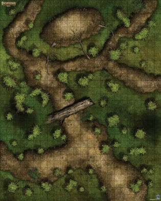 Настольная ролевая игра Pathfinder "Игровое поле. Болото" фото книги 4