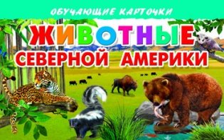 Обучающие карточки "Животные Северной Америки" фото книги