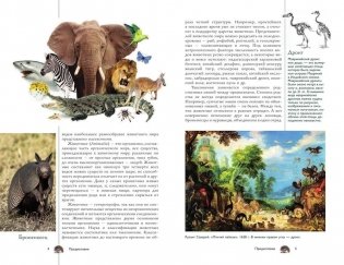 Животные. Иллюстрированный гид фото книги 3