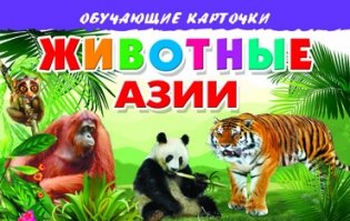 Обучающие карточки Животные Азии фото книги