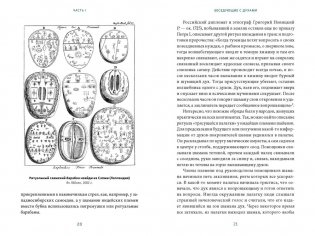 История гаданий и предсказаний. От ворожей и подблюдных песен до астрологии и карт Таро фото книги 2