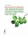 Большая иллюстрированная энциклопедия лекарственных растений фото книги маленькое 5