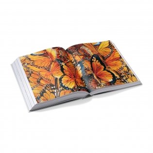 Sleeping Beauties: Reawakening Fashion фото книги 3