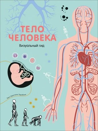 Тело человека. Визуальный гид фото книги