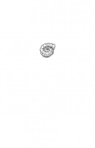 Европа. Естественная история. От возникновения до настоящего и немного дальше фото книги 2