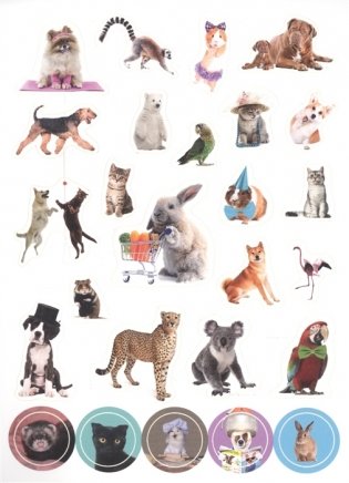100 наклеек. Забавные животные фото книги 2