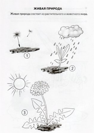 Знакомимся с окружающим миром. Рабочая тетрадь. Для детей 5-6 лет фото книги 5