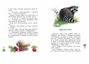 Гном из водосточной трубы фото книги 4