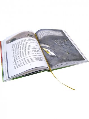 Горгели фото книги 6