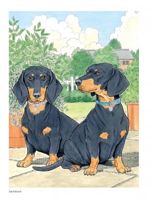 Creative Haven the Dog Lovers' Coloring Book фото книги 3
