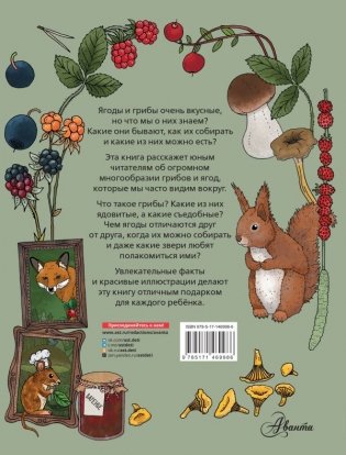 Грибы и ягоды фото книги 2