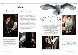 Harry Potter: The Film Vault - Volume 5: Creature Companions фото книги 2