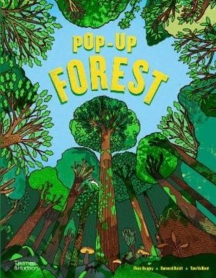 Pop-up forest фото книги