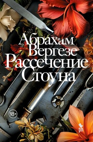 Рассечение Стоуна. Роман фото книги