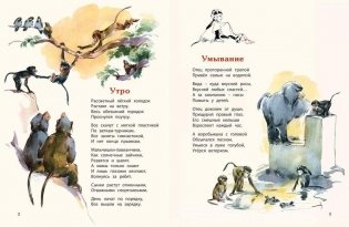 Про обезьян фото книги 3