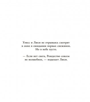 Снежный сон фото книги 3