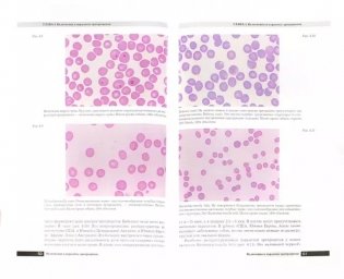 Атлас ветеринарной гематологии фото книги 2