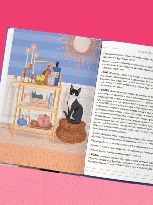 Кот коктейля. Рецепты напитков с кошачьей харизмой фото книги 11