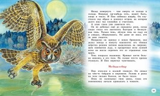 Сказки и рассказы о животных фото книги 6