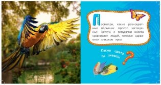 Попугай фото книги 2