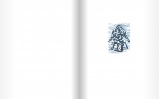 Айасель. Вечер в степи фото книги 2