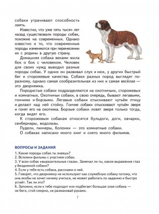 Первая после Букваря книга для чтения фото книги 12