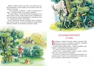 Приключения барона Мюнхаузена фото книги 6